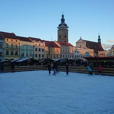 The Budweiser Daire Ceske Budejovice